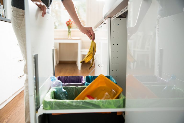 Cuál es la basura orgánica Ejemplos usos y beneficios