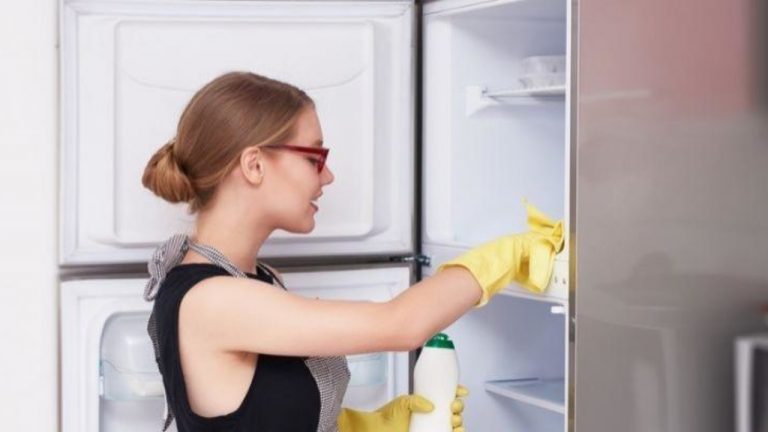 Cómo Limpiar Un Refrigerador Por Dentro Y Por Fuera De Forma Fácil