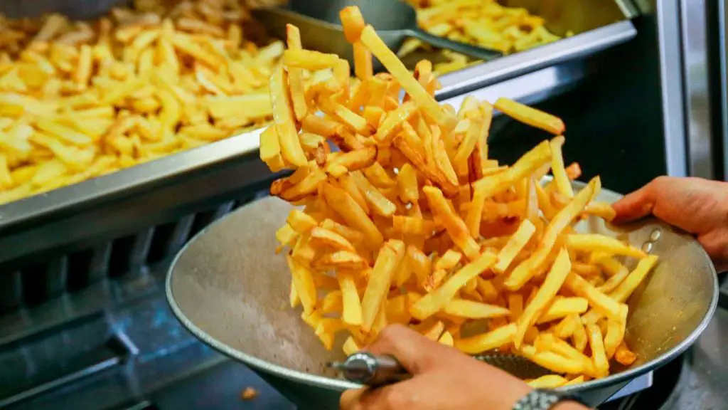 Mejores Freidoras De Papas Para Cocinarlas Con O Sin Aceite