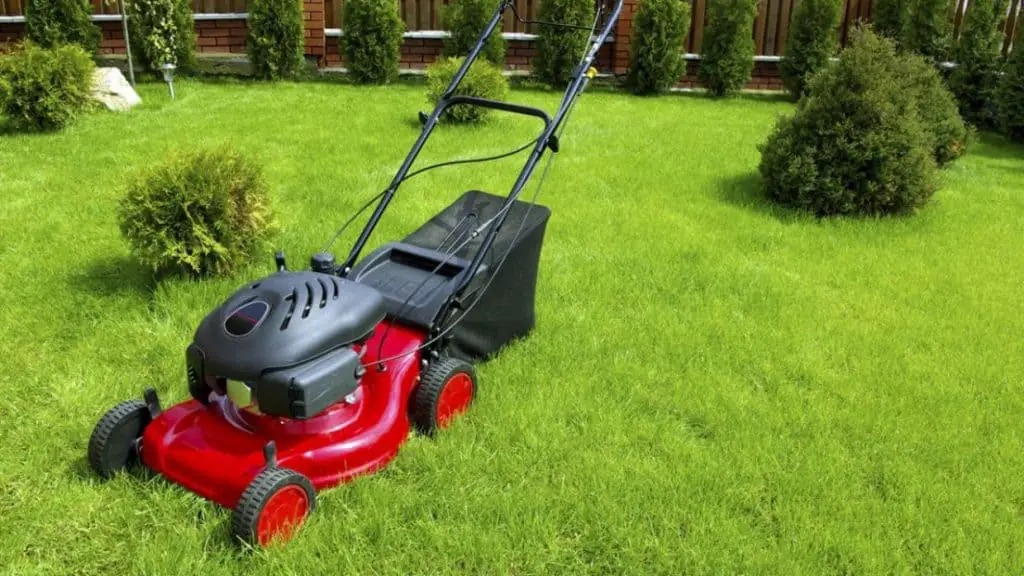 Cuál es la mejor podadora de pasto en México: Oferta eléctrica y gasolina